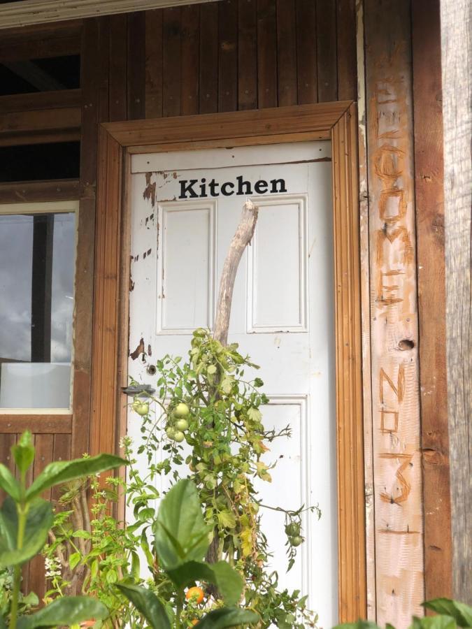 No 3 @ Bed In A Shed B&Bs Watervale ภายนอก รูปภาพ